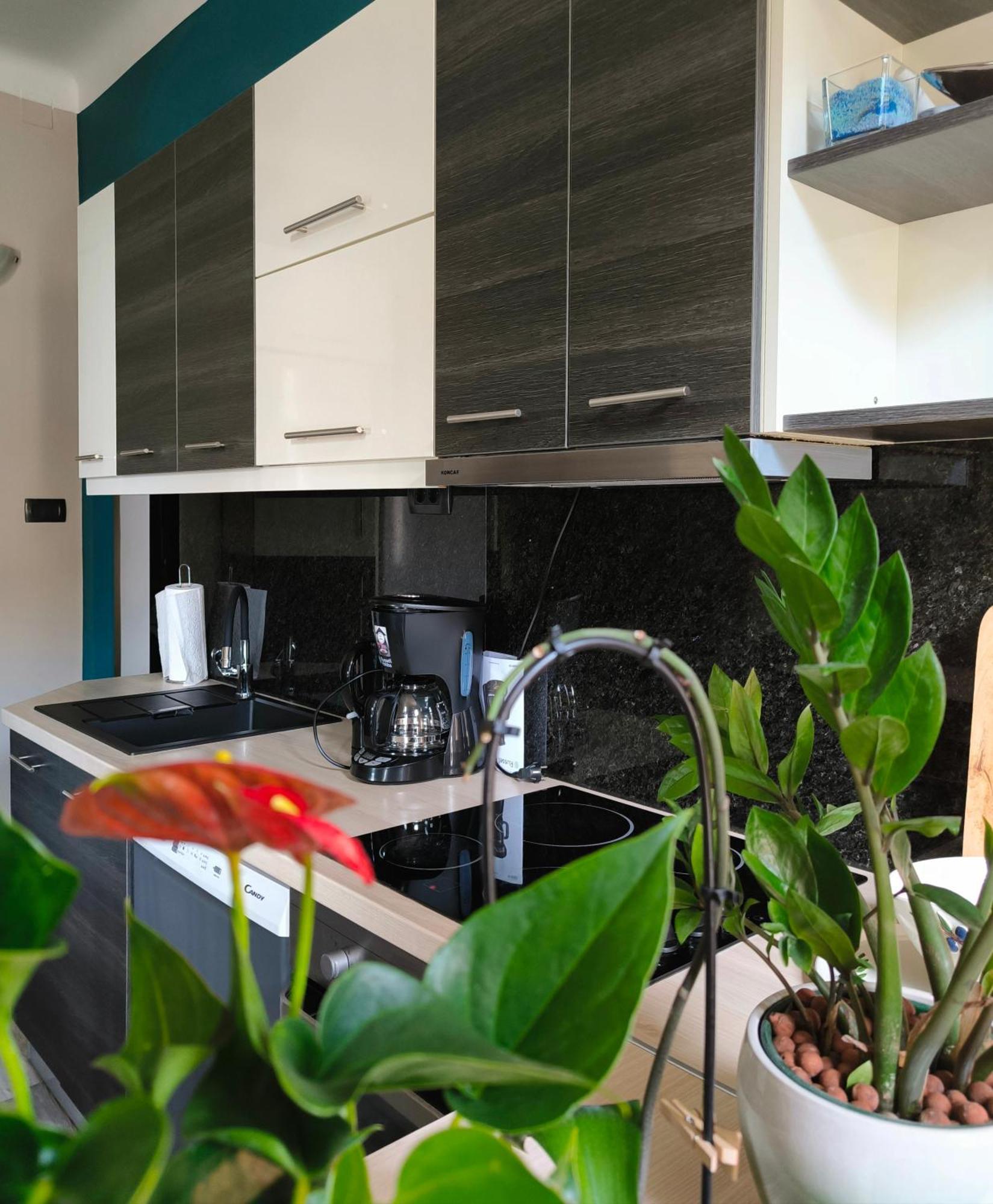 Urban Villa Apartment 오파티아 외부 사진